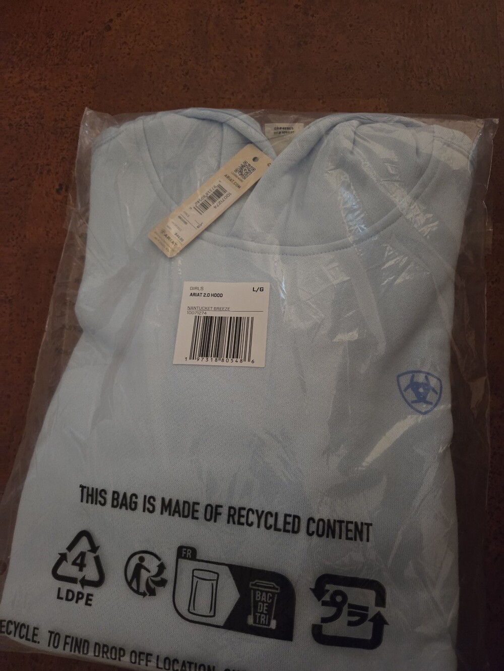 Ariat Girl's 2.0 Hoodie in Sz LRG Nantucket Breeze Color Item 10071274 - Picture 4 of 4